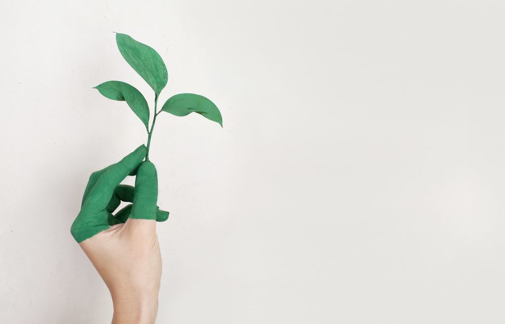 CSFI: Sustainable Finance for Breakfast