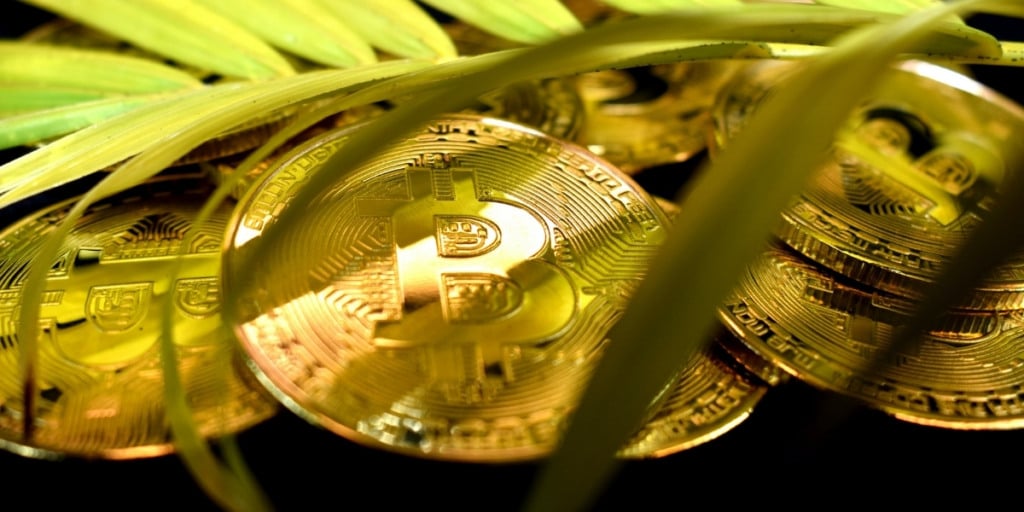 Why the future of Cryptocurrency is green