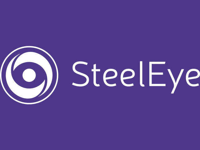 SteelEye Logo